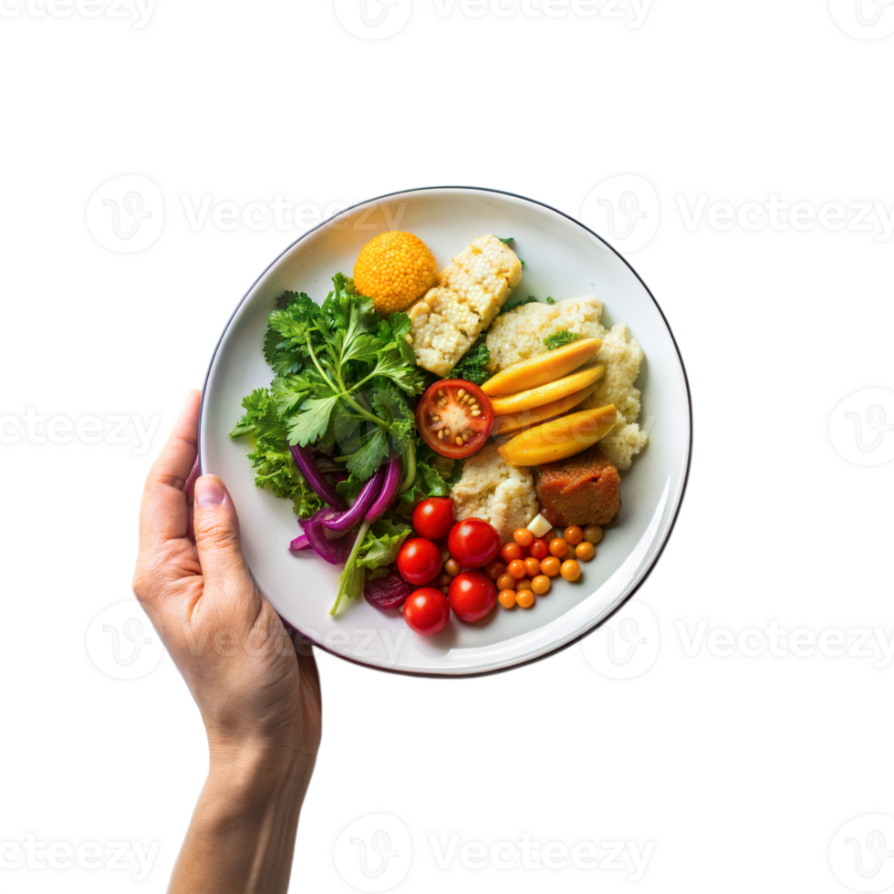 A person is holding a plate of food that includes a variety of vegetables png