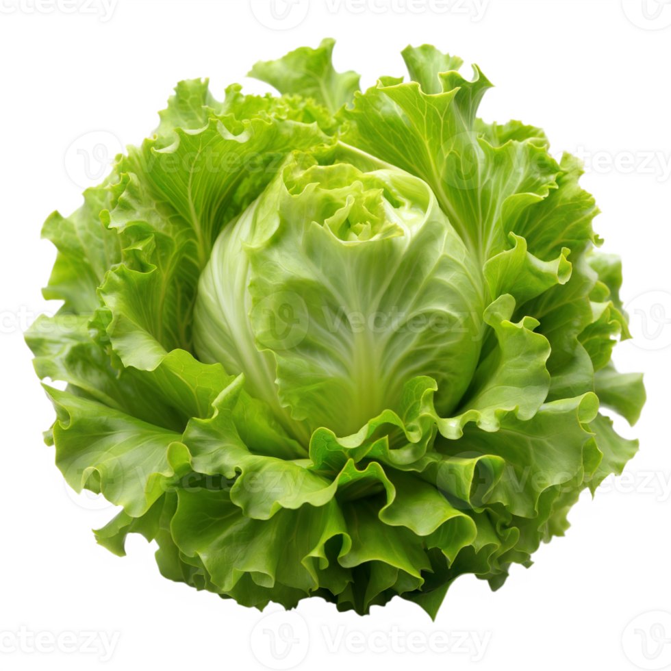 A close-up image of a fresh, green lettuce head with wavy leaves. The lettuce is isolated on a transparent background png