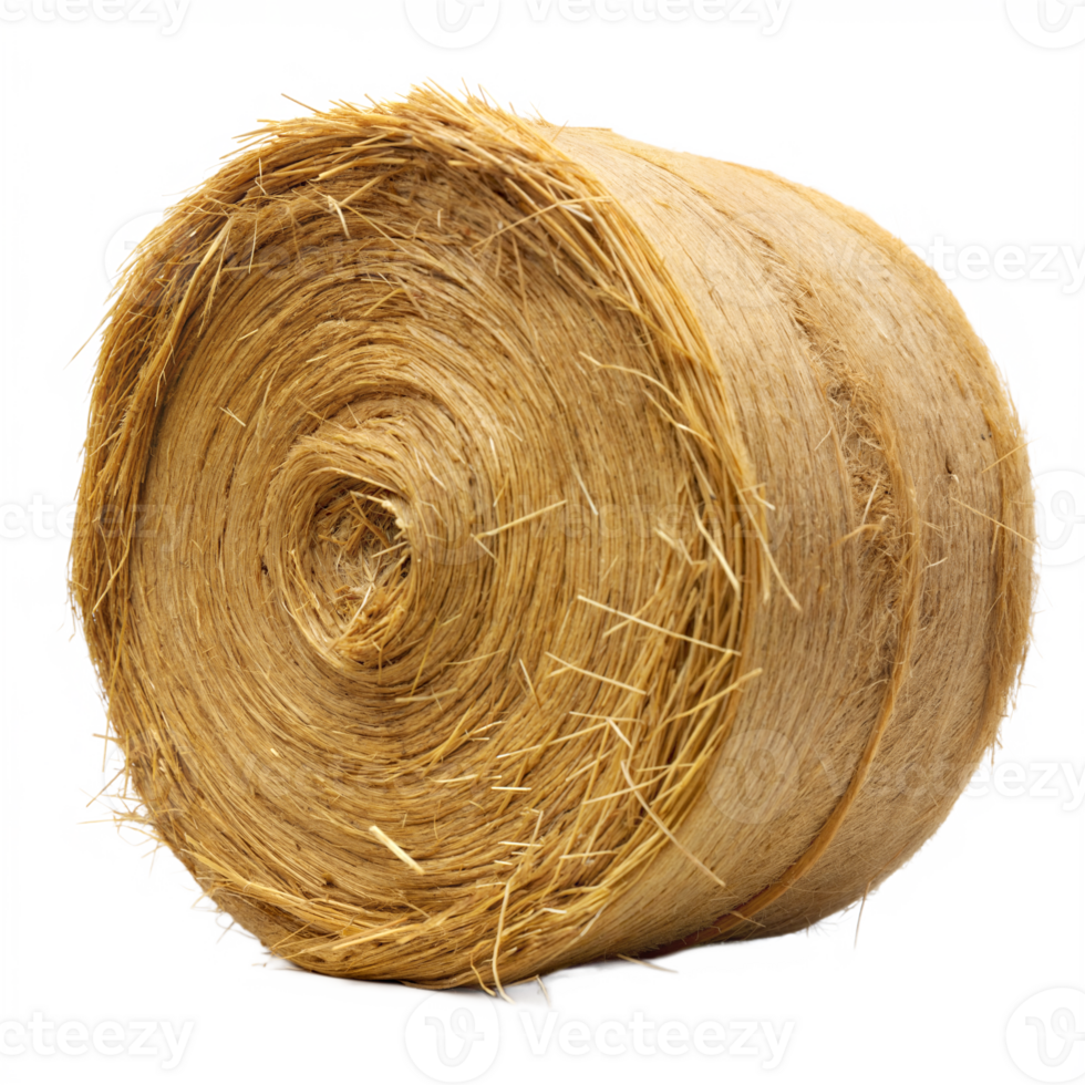 A close-up image of a rolled hay bale sitting in a rural setting. The hay is tightly packed, and the bale is well-maintained png