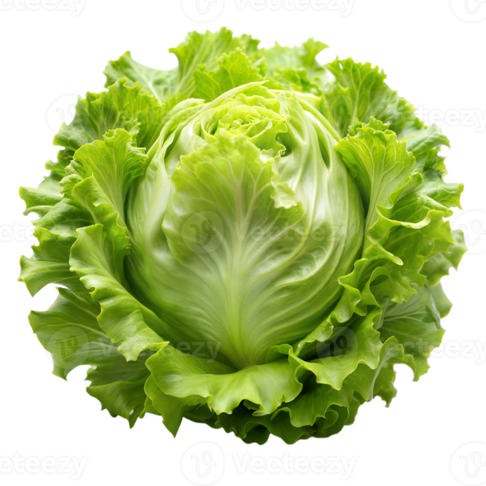 A single head of green butterhead lettuce with curly leaves, isolated on a transparent background png