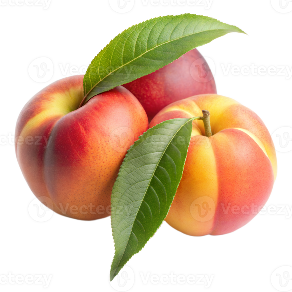 A close-up image of three ripe peaches with green leaves, isolated on a transparent background png