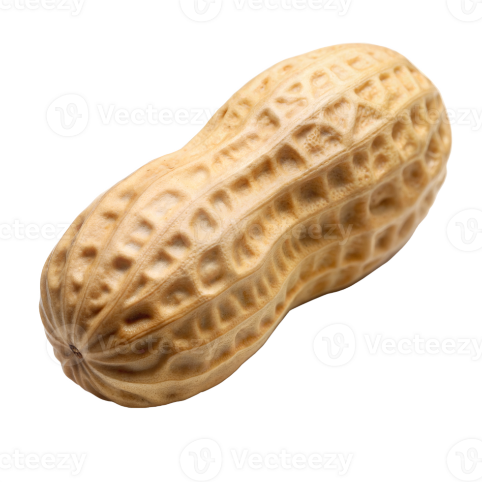 A close-up image of a single peanut shell, with the intricate detail of its ridges and texture clearly visible png
