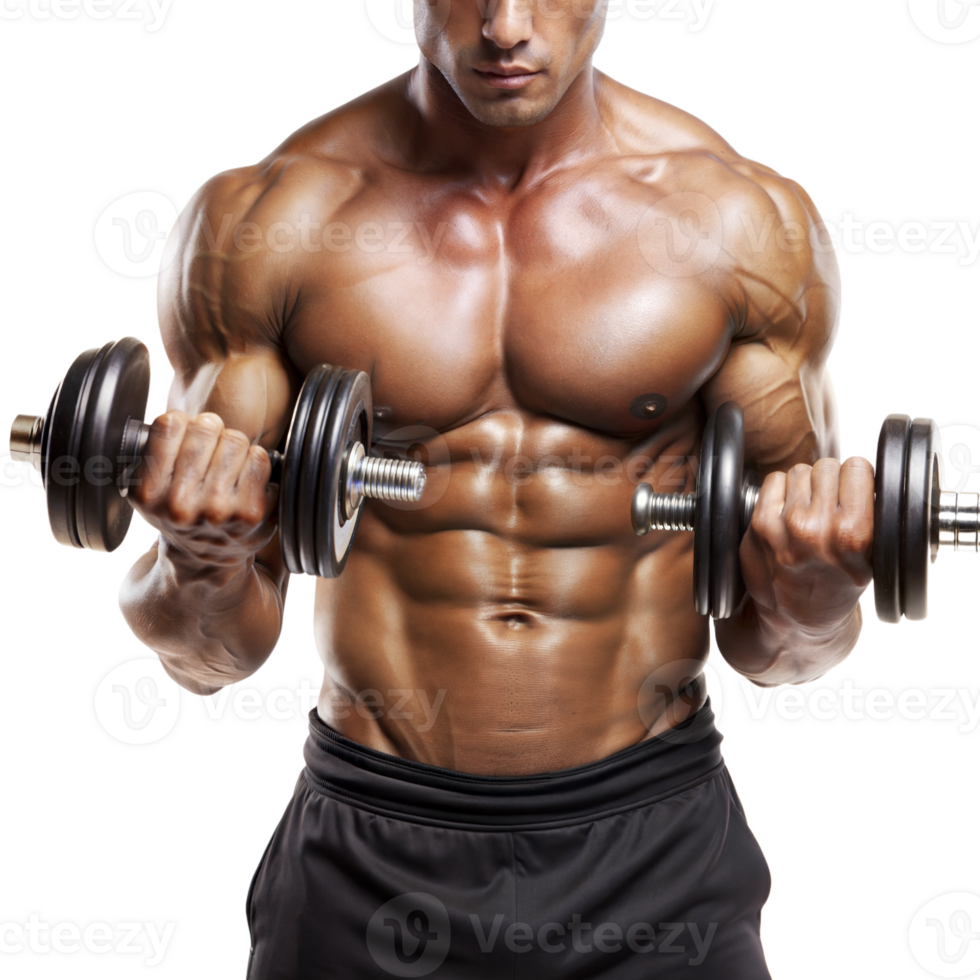 A man is lifting weights with two dumbbells in his hands png