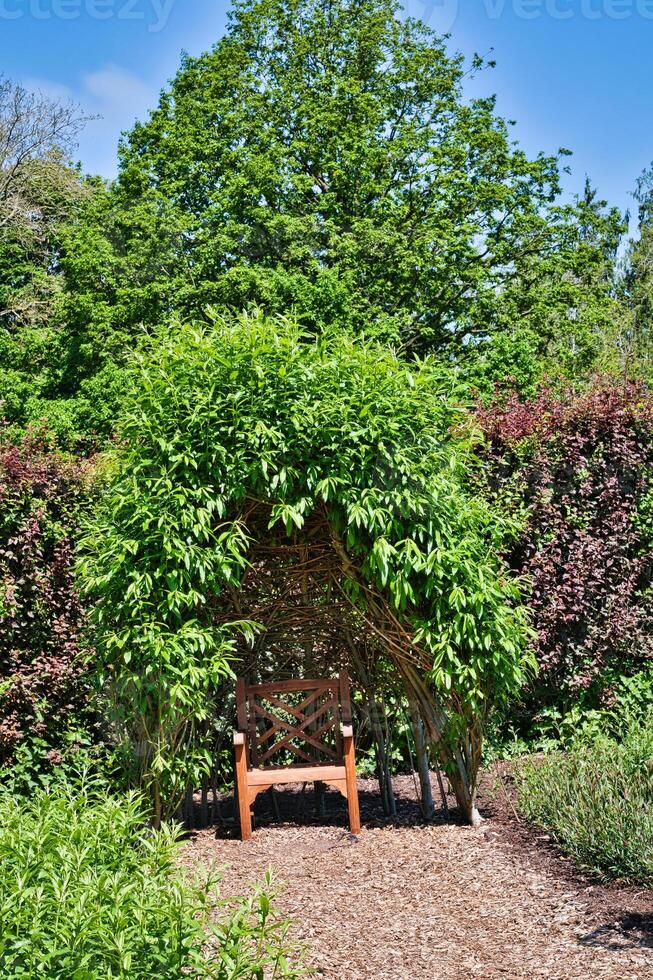 Wooden Bench Under Leafy Arch in Garden photo