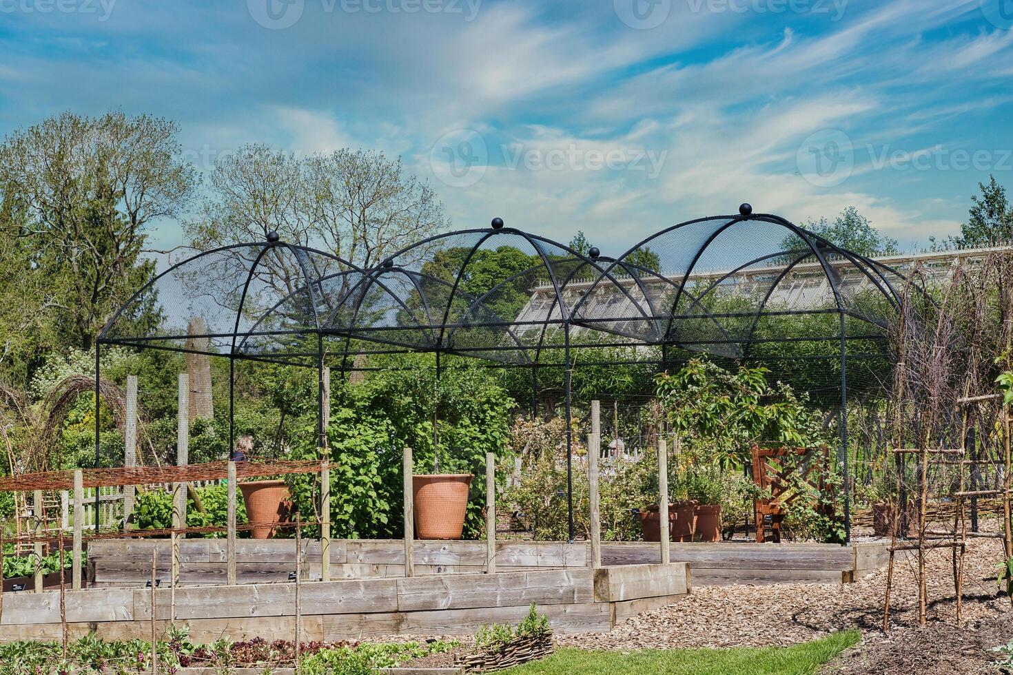 Garden with raised beds and metal dome structure photo