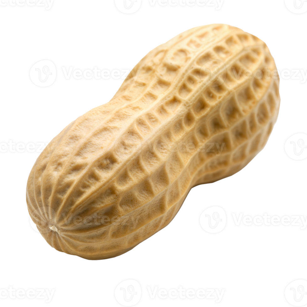 A single peanut in its shell, isolated on a transparent background. The peanut is facing slightly to the right, showcasing its texture png