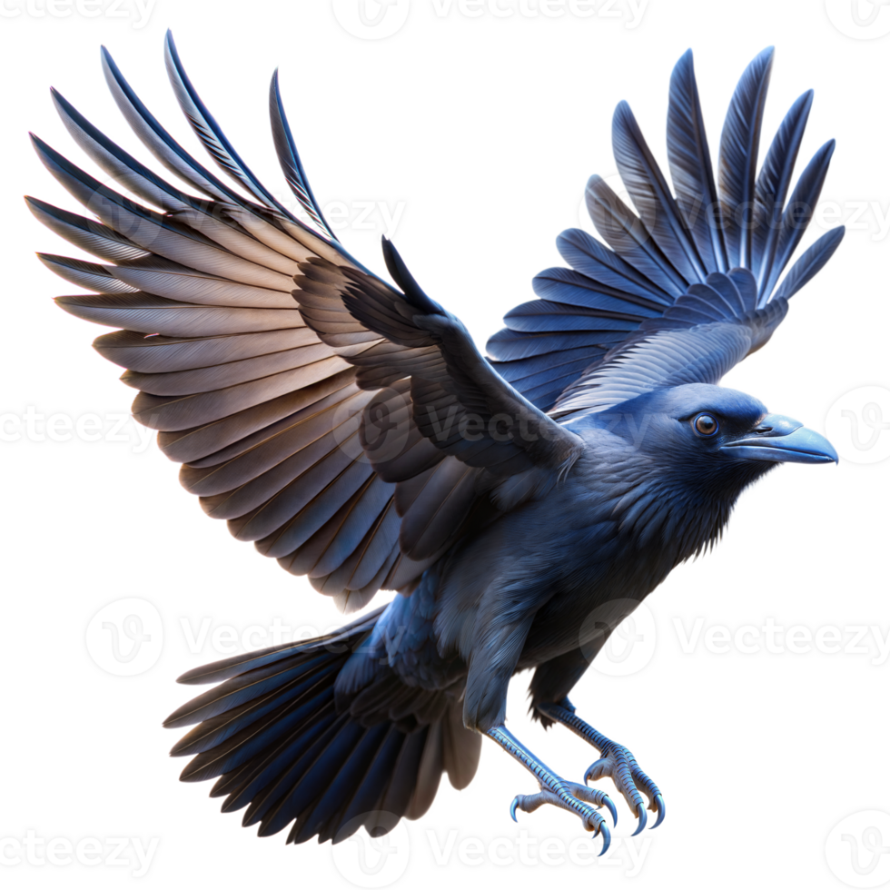 A beautiful blue raven with its wings spread wide, soaring through the air png