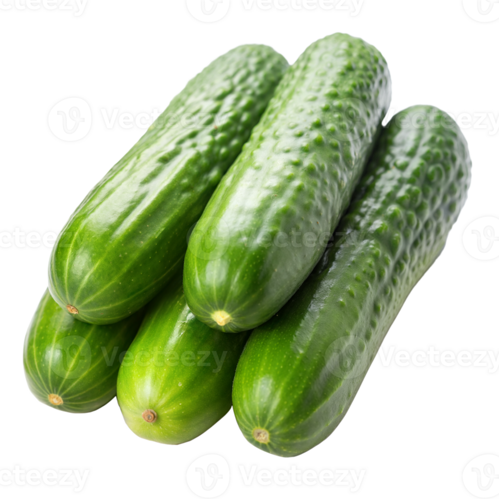 A group of fresh green cucumbers ready for use in salads, sandwiches, or other dishes png