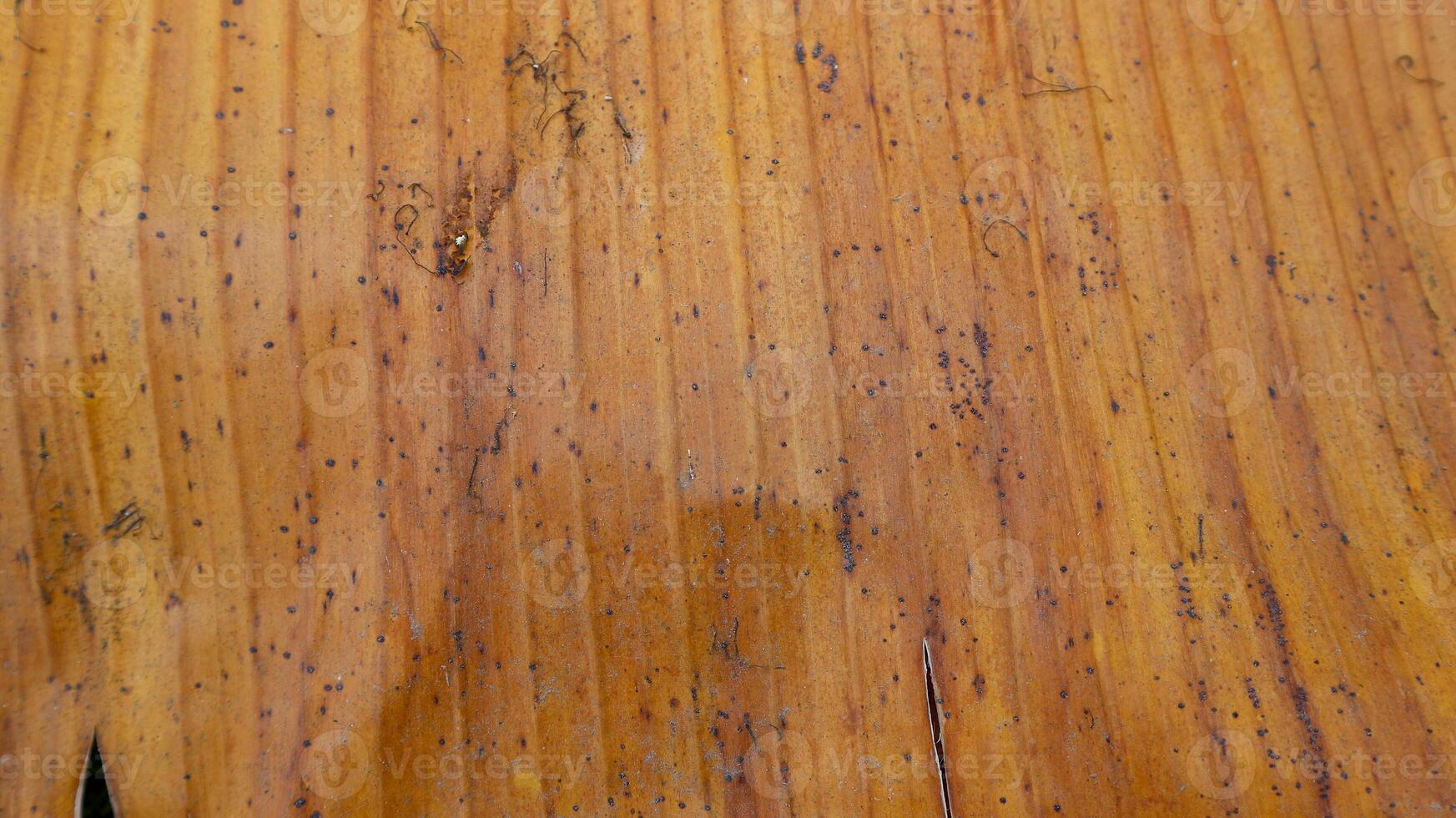 background texture yellow banana leaf fiber for creative banner design or greeting card photo