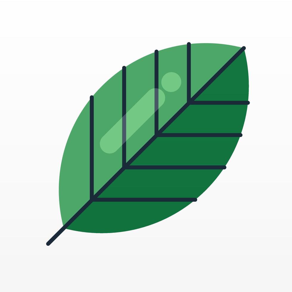 Flat colorful leaf shape design asset element vector