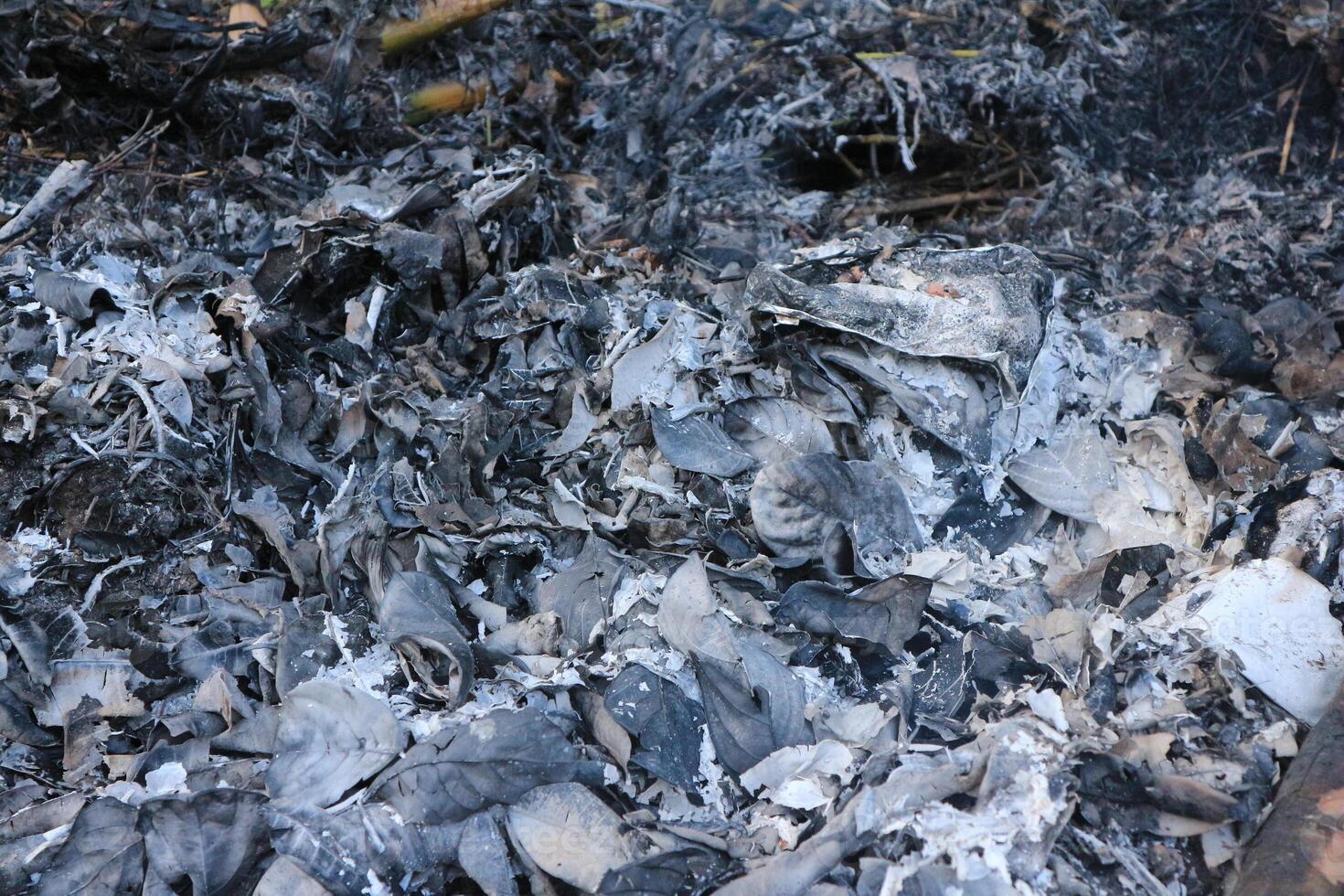 Background texture of ash left over from burning leaves and tree twigs photo