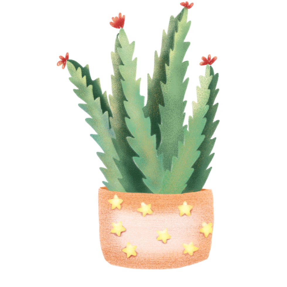 Cactus in a pot, hand-drawn png