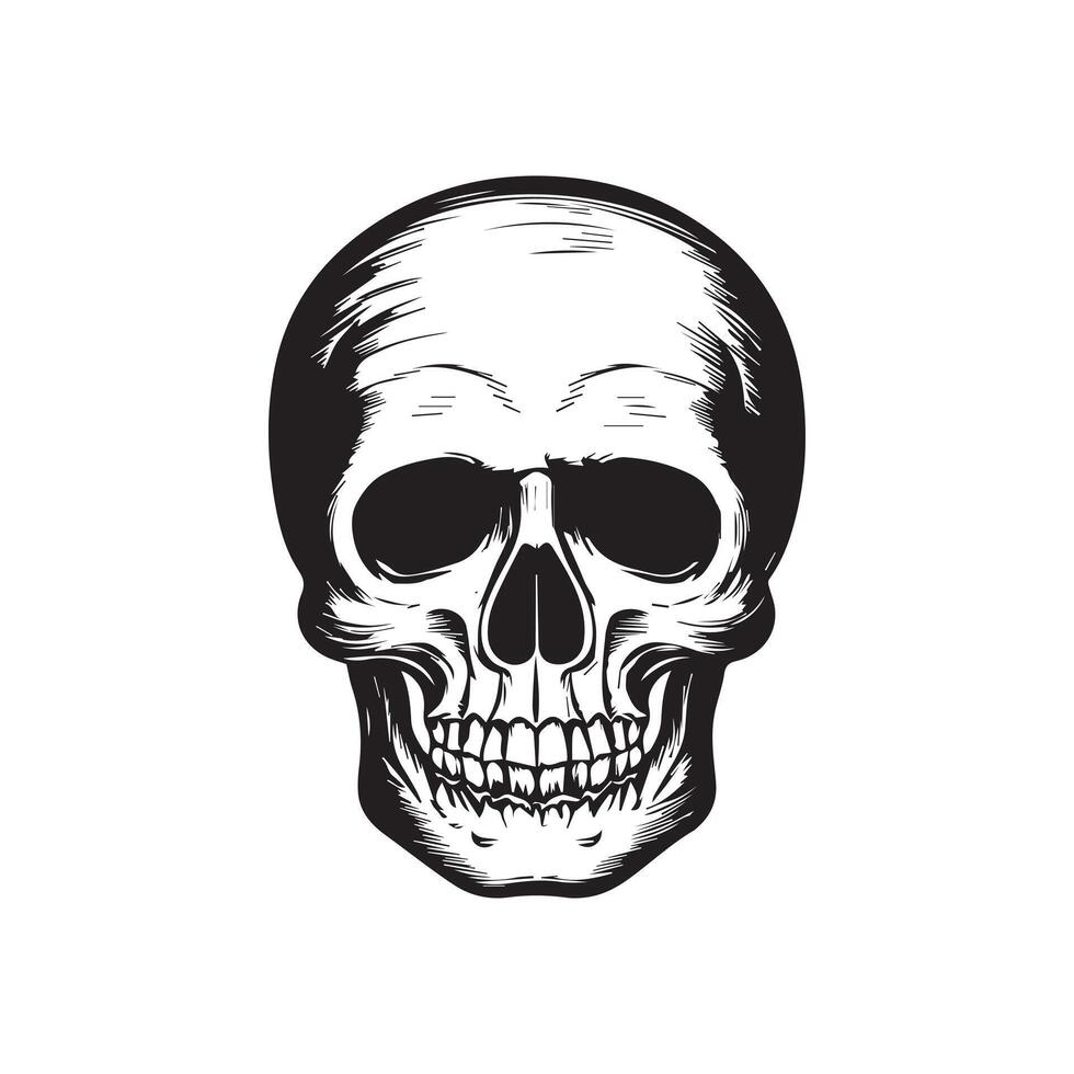 Skull in vintage style black and white, on white background vector