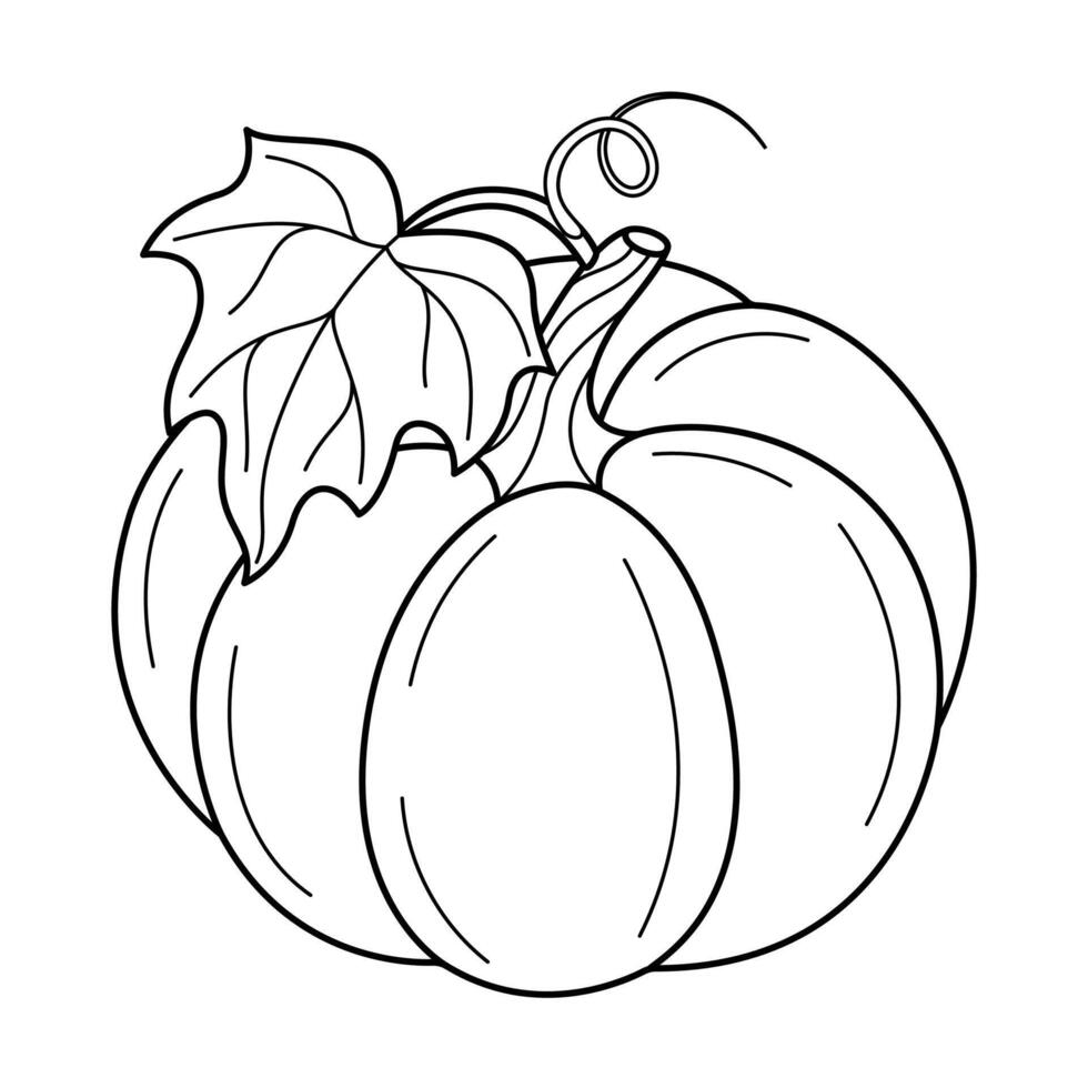 Hand Drawn pumpkin with leaf line art. Pumpkin doodle icon. Black and white Pumpkin illustration. Perfect For Poster, Greeting Card, Coloring page for kids and adults. vector