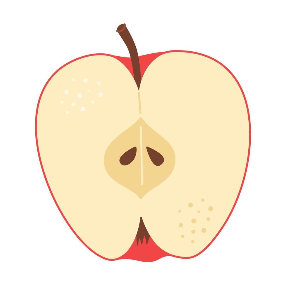 Red apple cut in half. One piece of red fruit with seeds. Apple half icon. Isolated on white. Hand drawn Trendy flat style. Healthy vegetarian snack, cut apple for design illustration vector