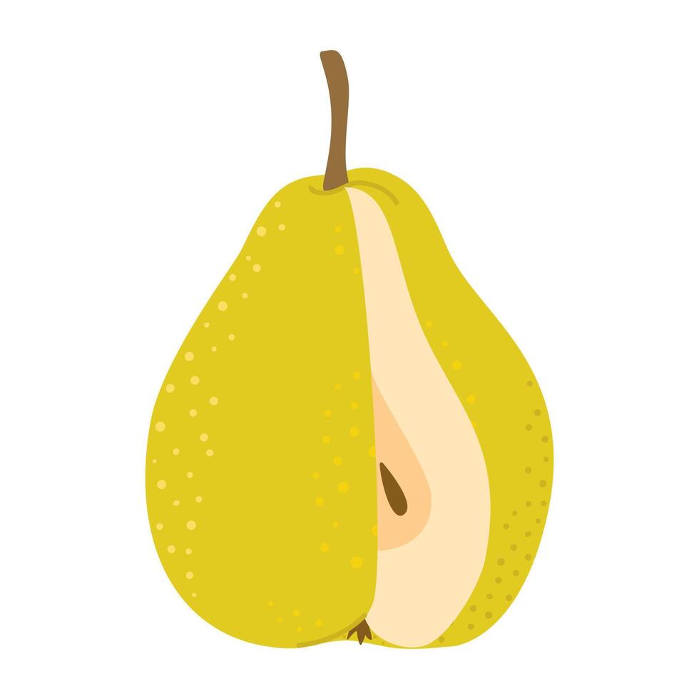 Cut Green pear cartoon icon. Cross section of cut pear, slices fruit, Hand drawn trendy flat style isolated on white. Healthy vegetarian snack, cut ripe pear for design, infographic illustration vector