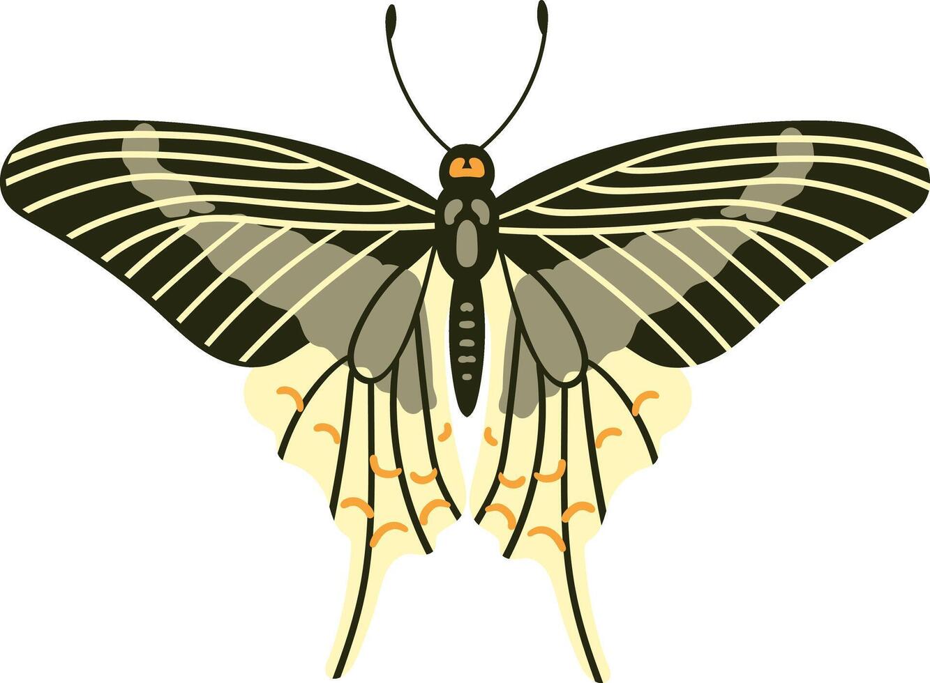 Beautiful butterfly with colorful wings. vector