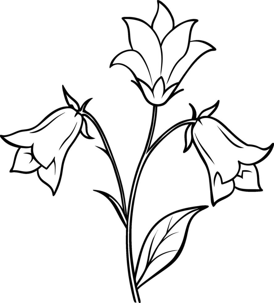 lily of the valley isolated on white background eps 10 vector