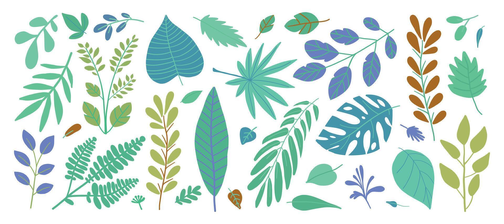illustration of various colorful tropical leaves and branches in different shapes and sizes. vector