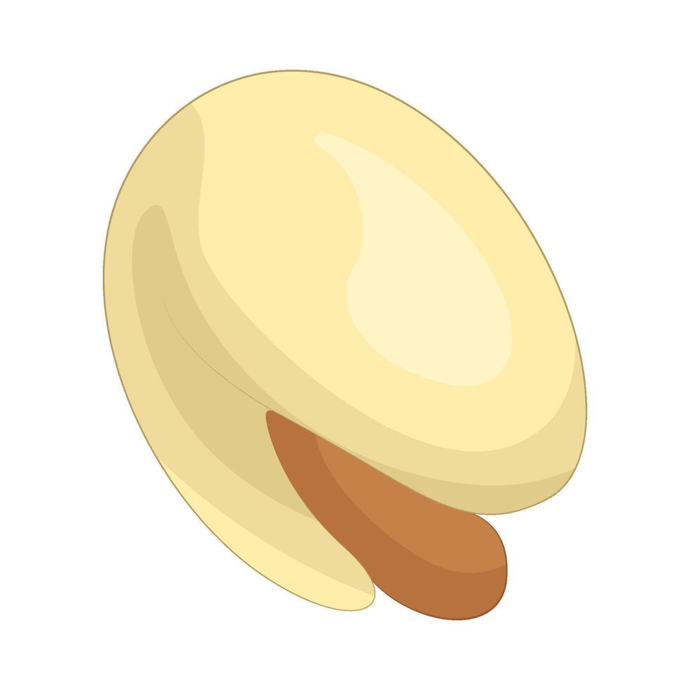 Illustration of Pistachio vector