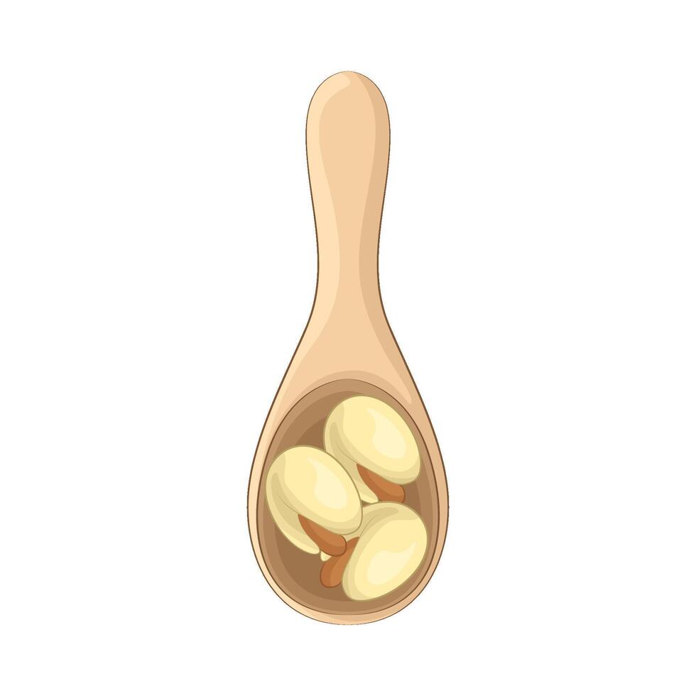 Illustration of Pistachio vector
