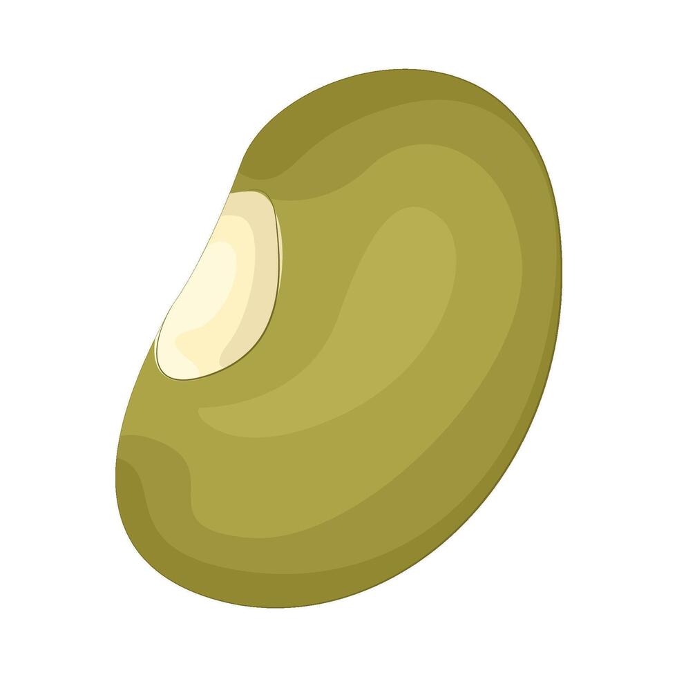 Illustration of mung bean vector