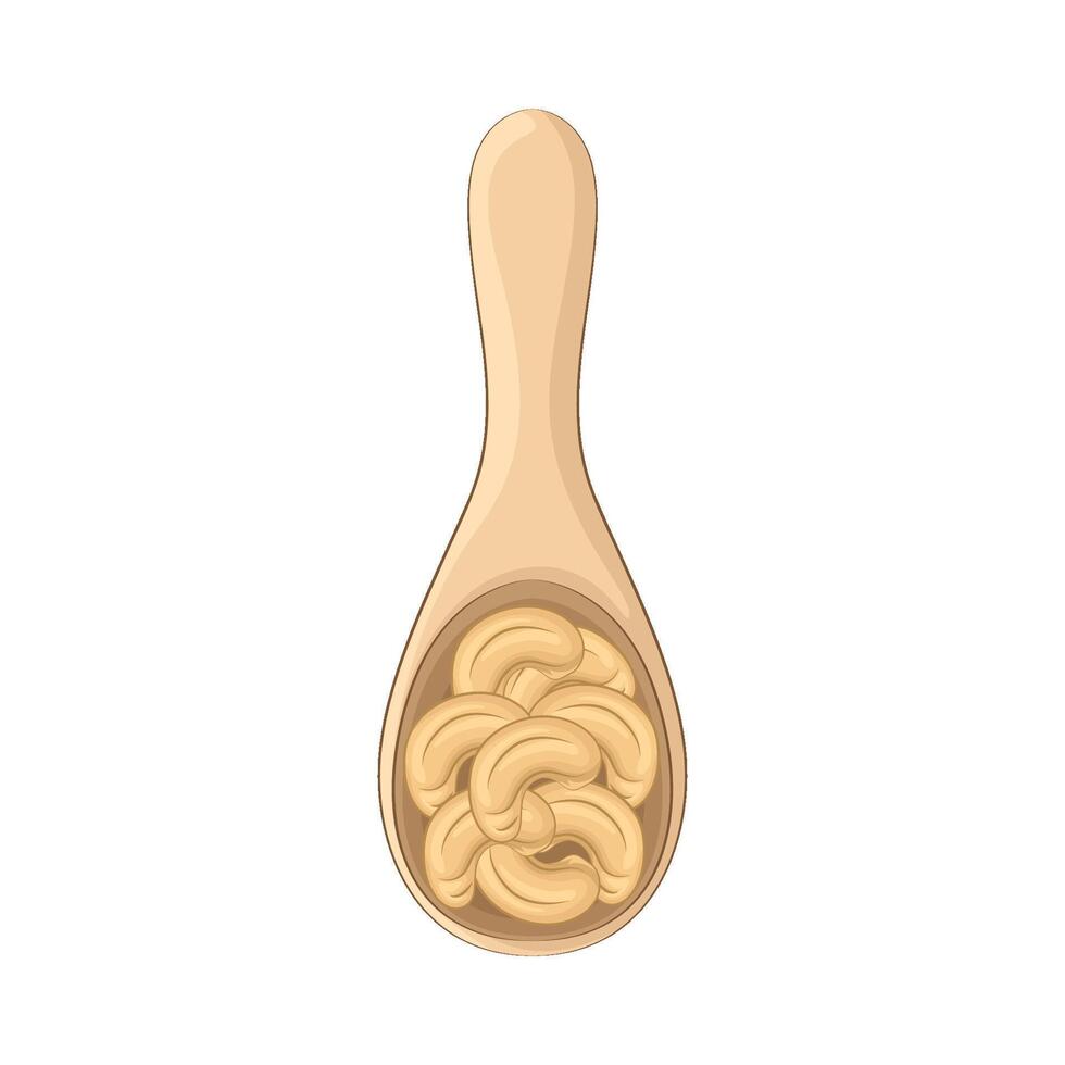 Illustration of cashew nut vector