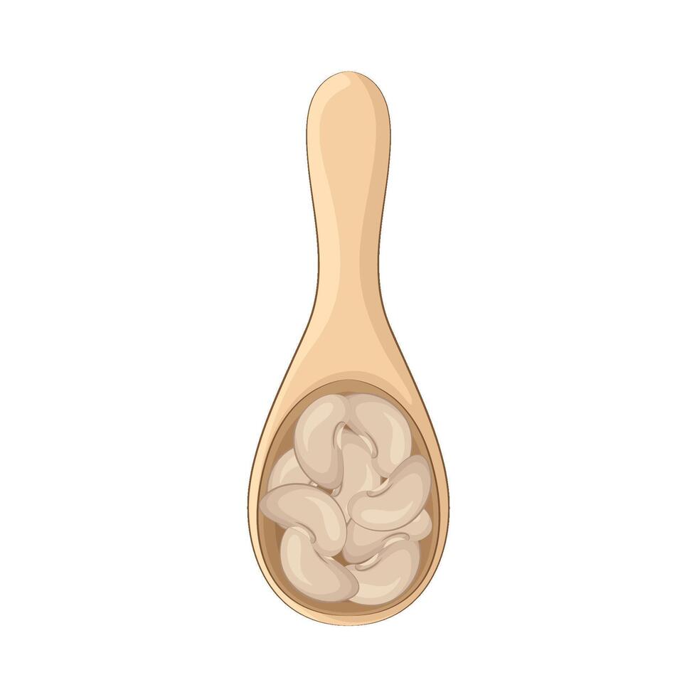 Illustration of bean vector