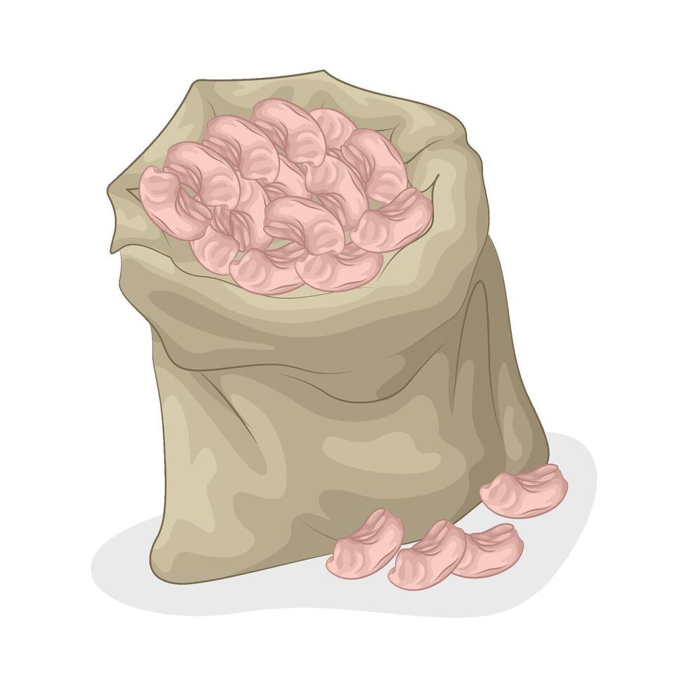 Illustration of bean vector