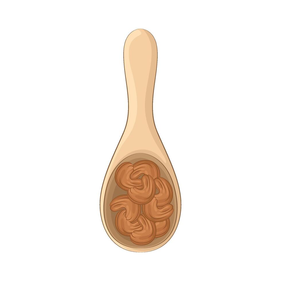 Illustration of cashew nut vector