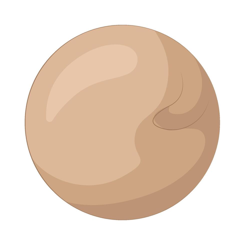 Illustration of bean vector