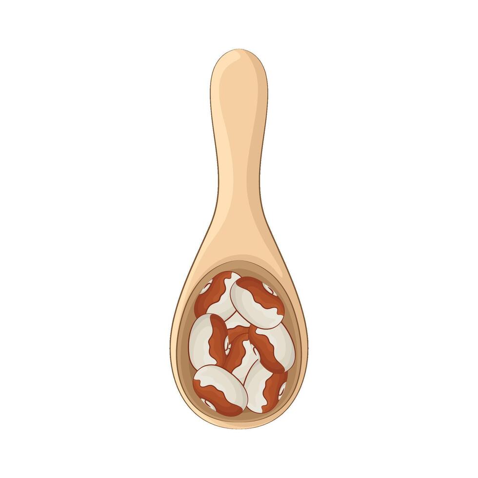 Illustration of brazil nuts vector