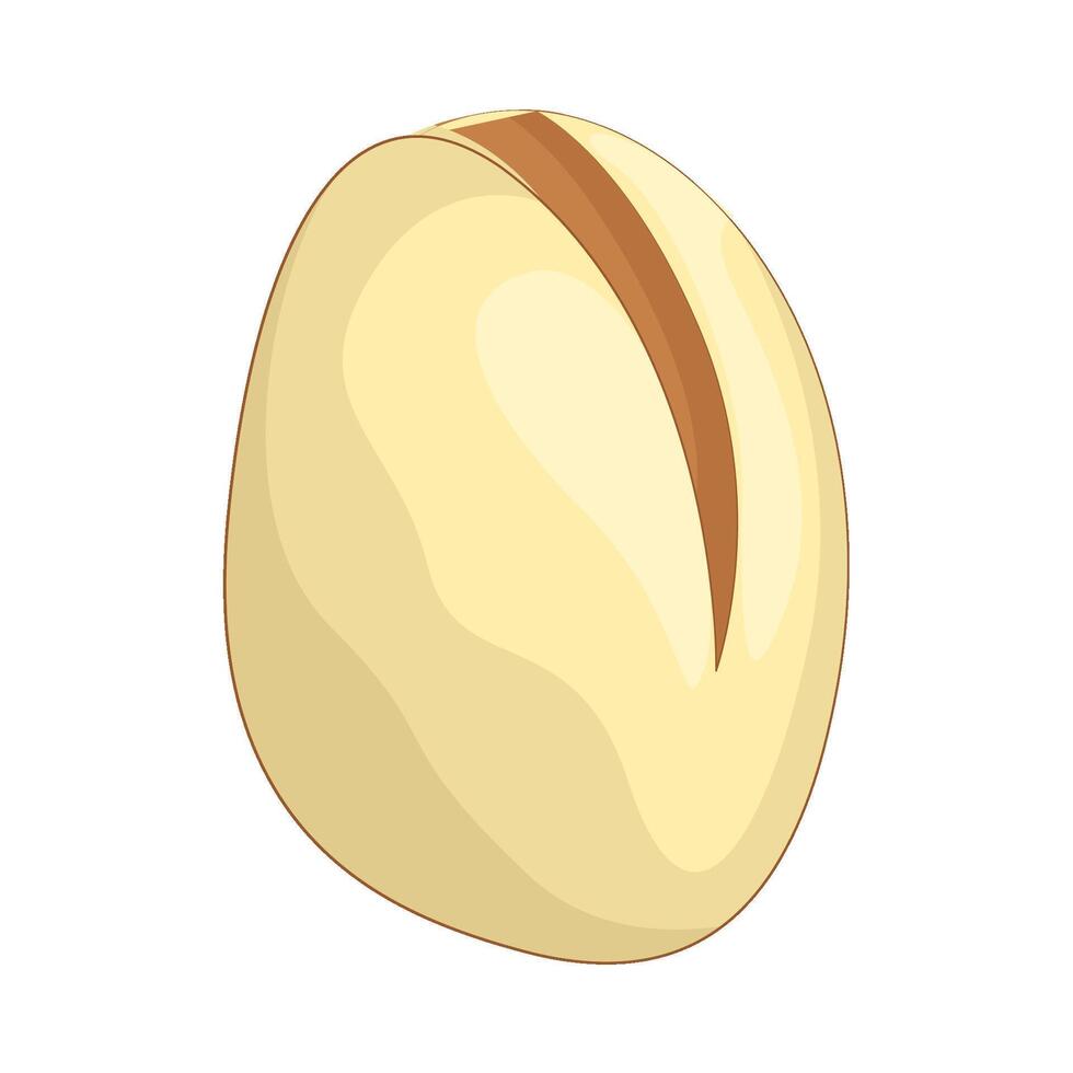 Illustration of Pistachio vector