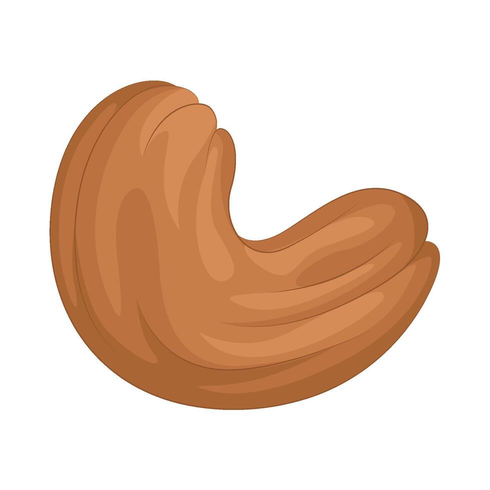 Illustration of cashew nut vector