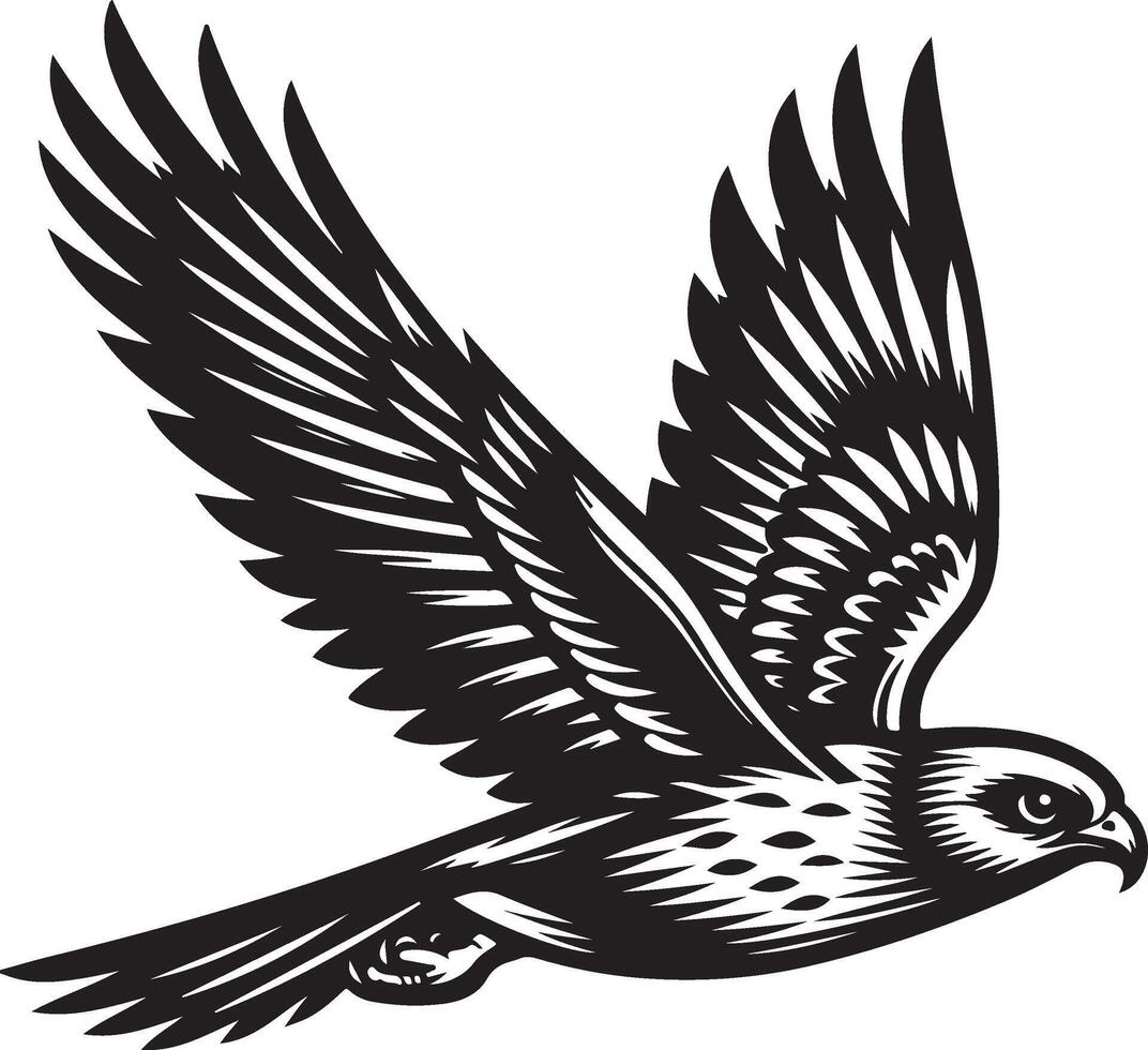 harrier bird silhouette illustration vector
