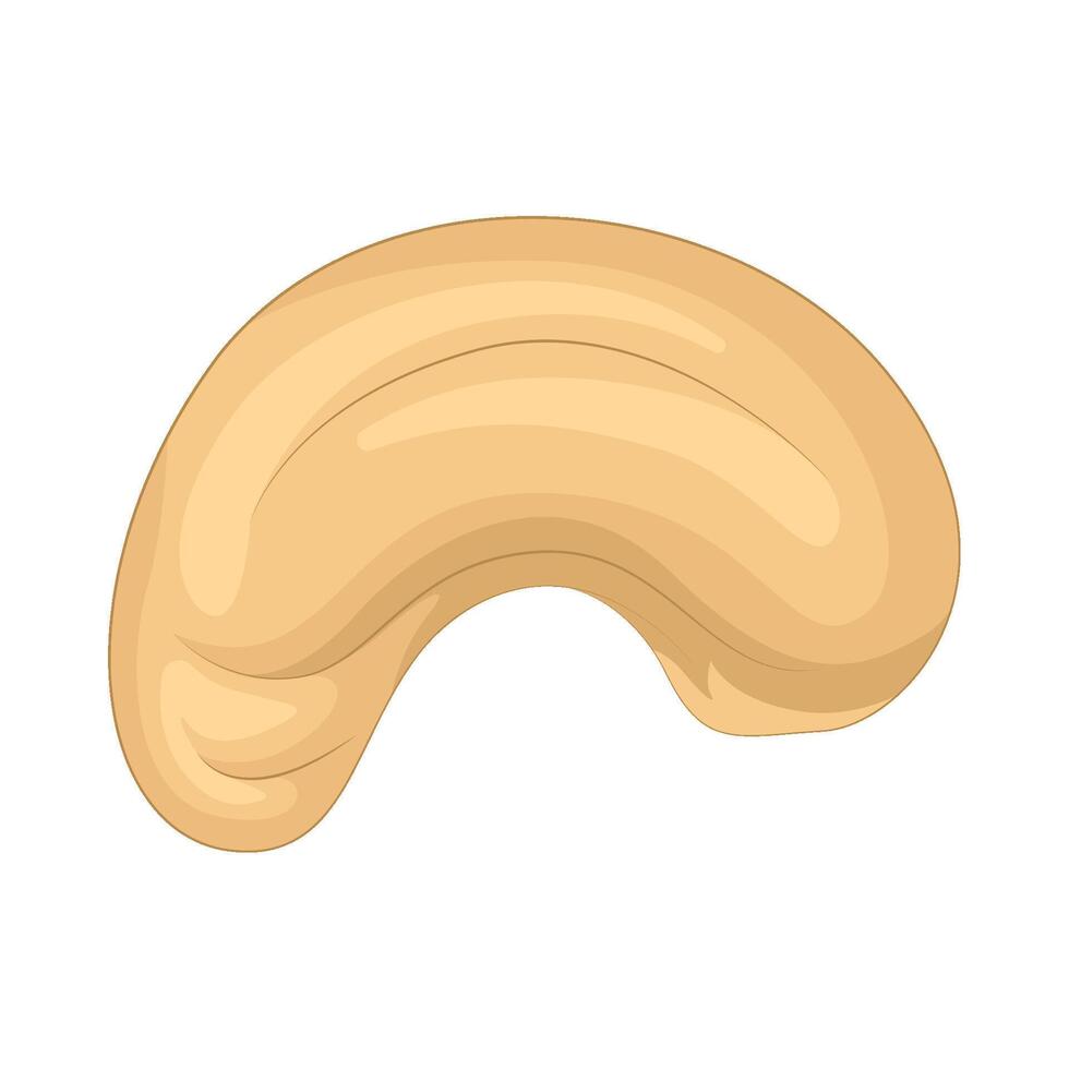 Illustration of cashew nut vector
