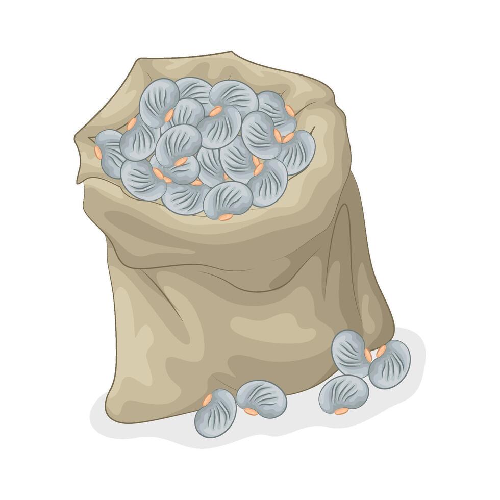 Illustration of bean vector