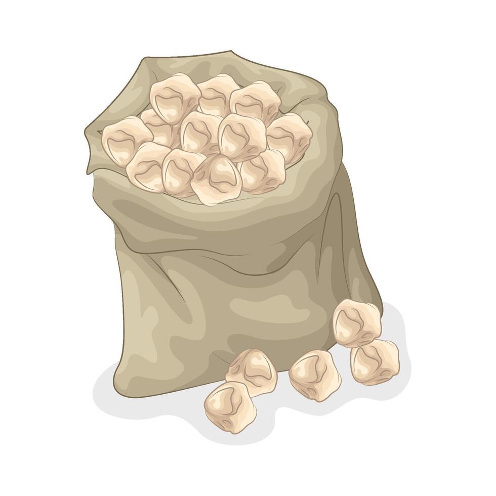 Illustration of chickpeas vector
