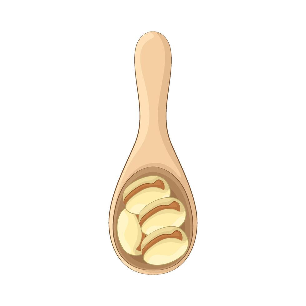 Illustration of Pistachio vector