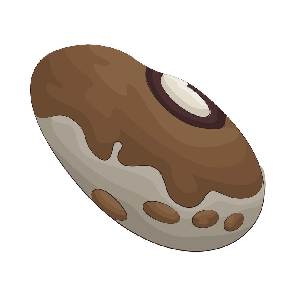 Illustration of brazil nuts vector
