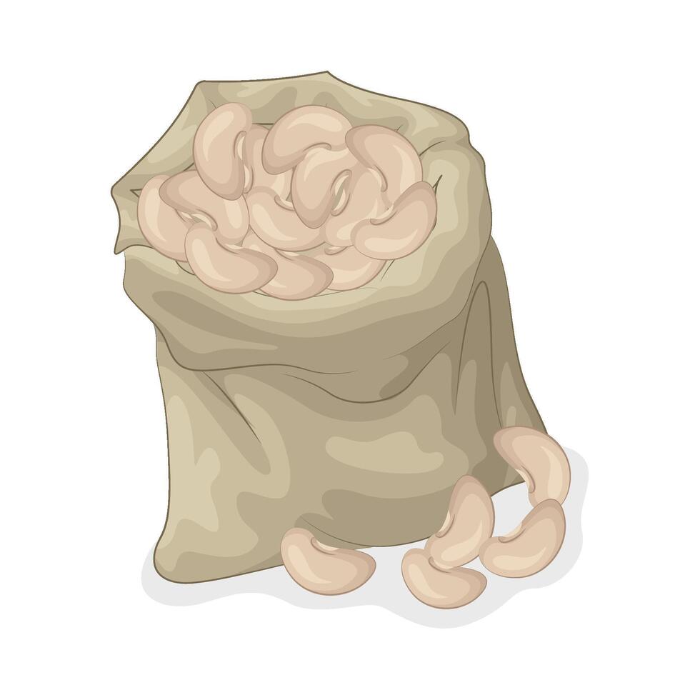 Illustration of bean vector