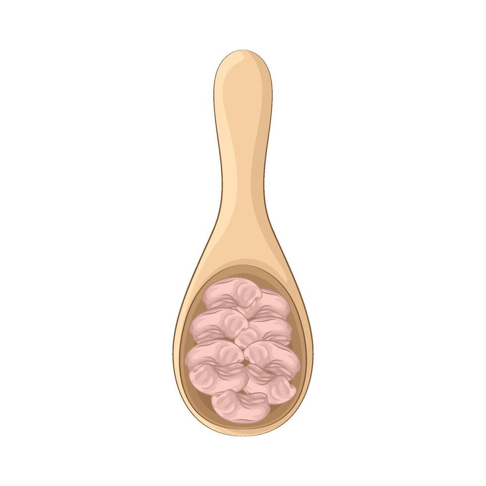 Illustration of bean vector