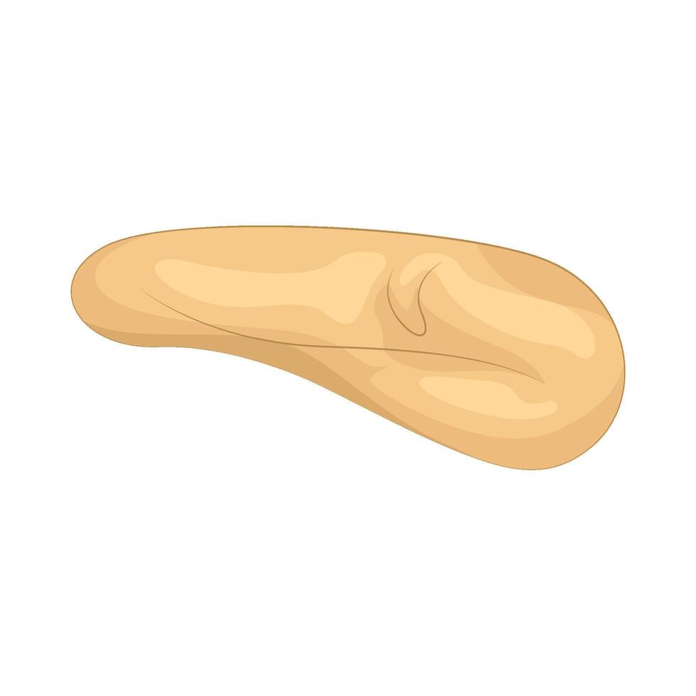 Illustration of cashew nut vector