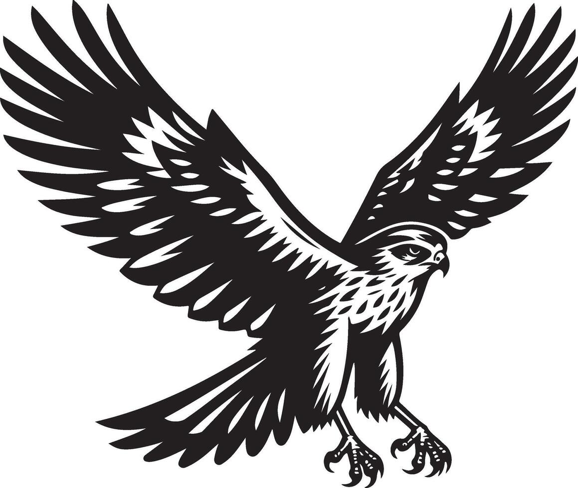 harrier bird silhouette illustration vector