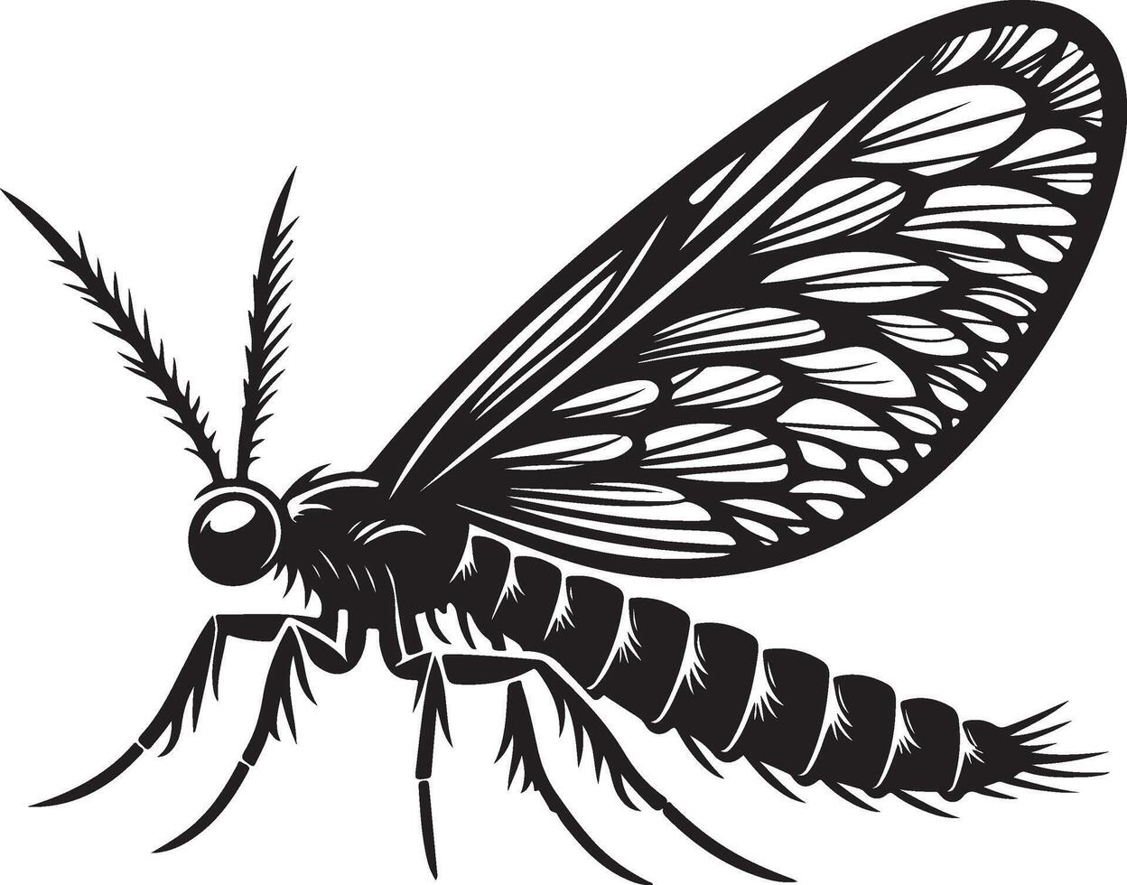 Cartoon-lacewing Illustration black vector