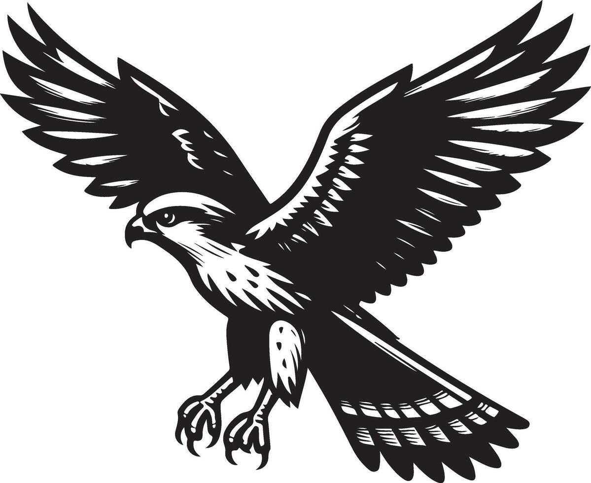 harrier bird silhouette illustration vector