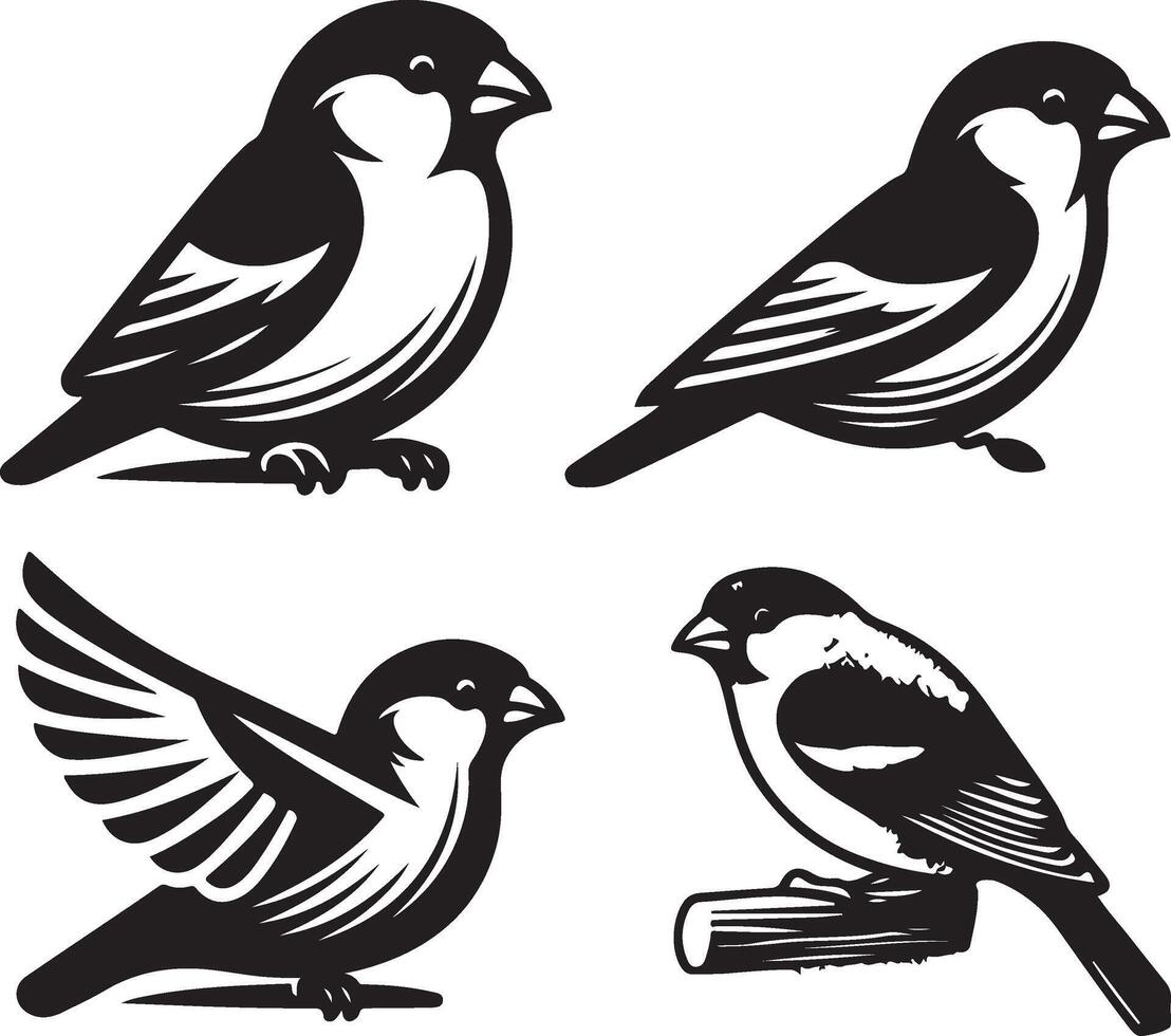 grosbeak bundle art Illustration vector