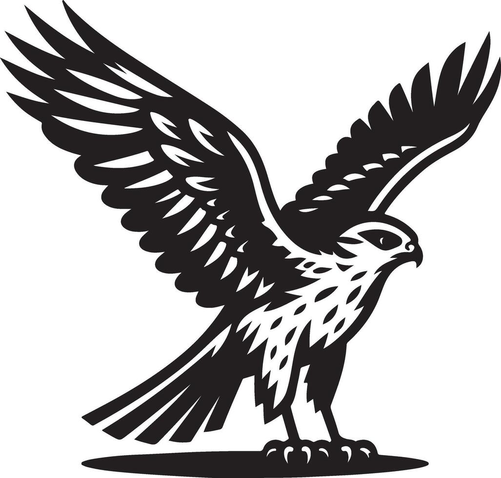 harrier bird silhouette illustration vector