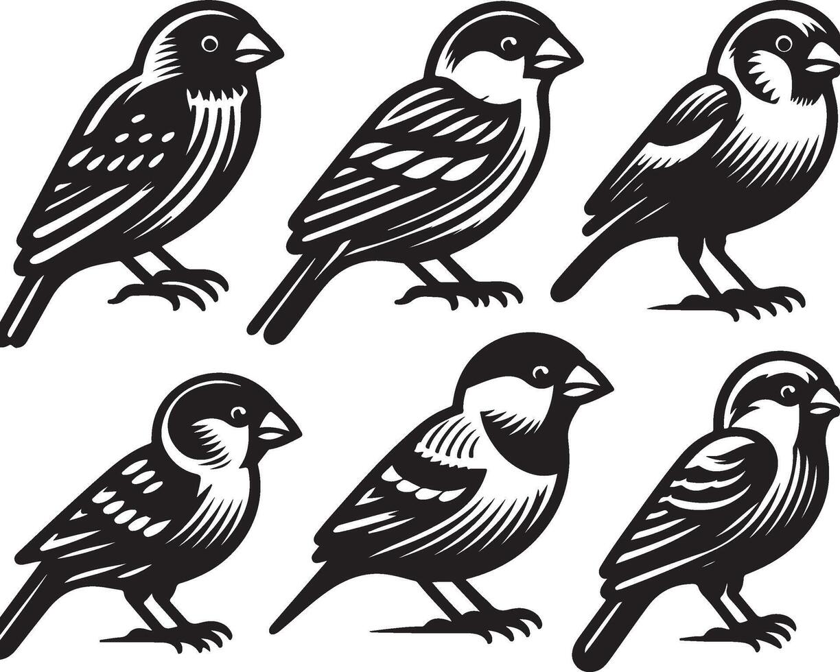 grosbeak bundle art Illustration vector