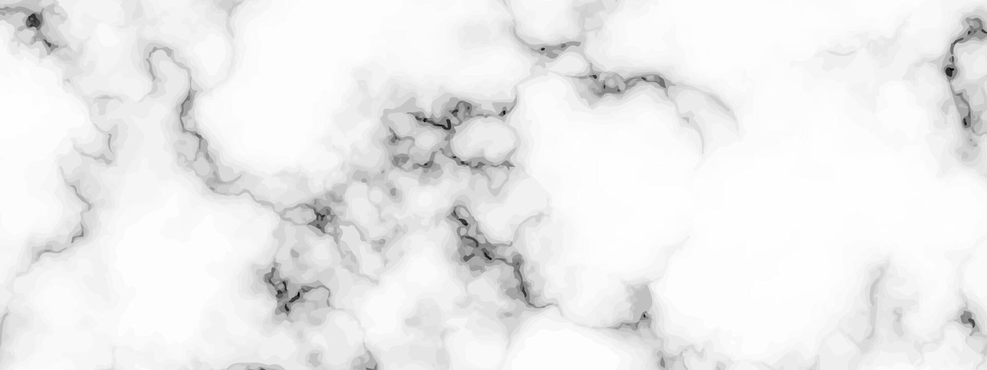 White marble texture background vector